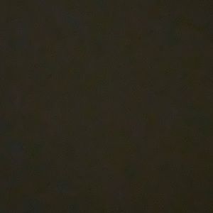 Meet your Posher, Googie